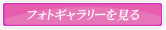 フォトギャラリーへ